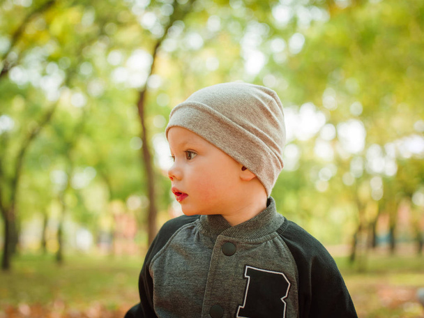 Little boy close-up in autumn in the park - Foto, Bild