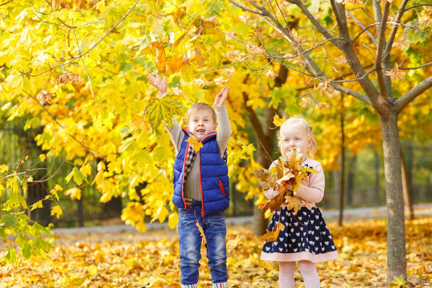 Family on a walk in the background of yellow autumn - Photo, Image