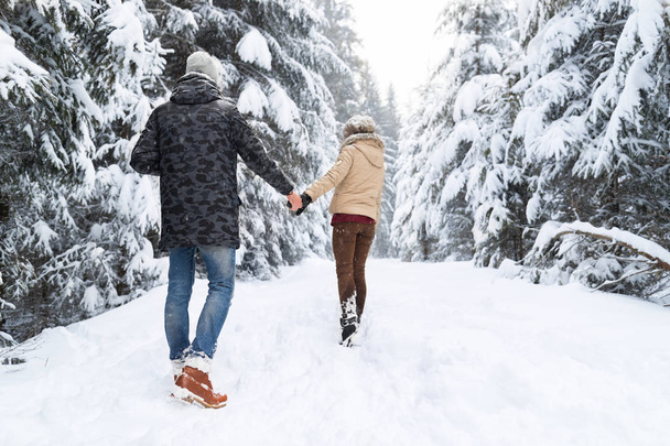 Młoda para spaceru w Snow Las odkryty, mężczyzna i Kobieta, trzymając ręce widok z tyłu - Zdjęcie, obraz