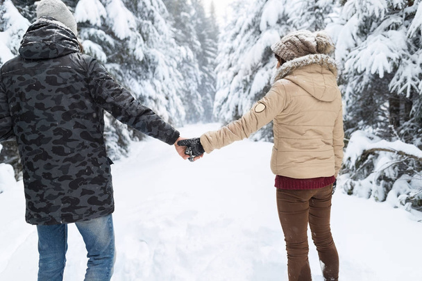 Young Couple Walking In Snow Forest Outdoor Man And Woman Holding Hands Back View - Fotoğraf, Görsel