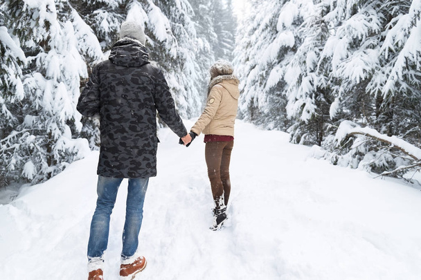 Young Couple Walking In Snow Forest Outdoor Man And Woman Holding Hands Back View - Фото, изображение