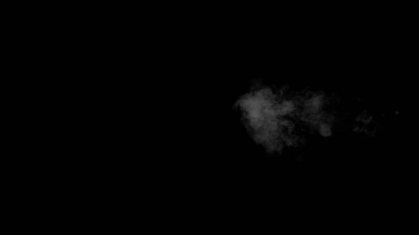 Листкові парів води білий на чорному фоні - Фото, зображення