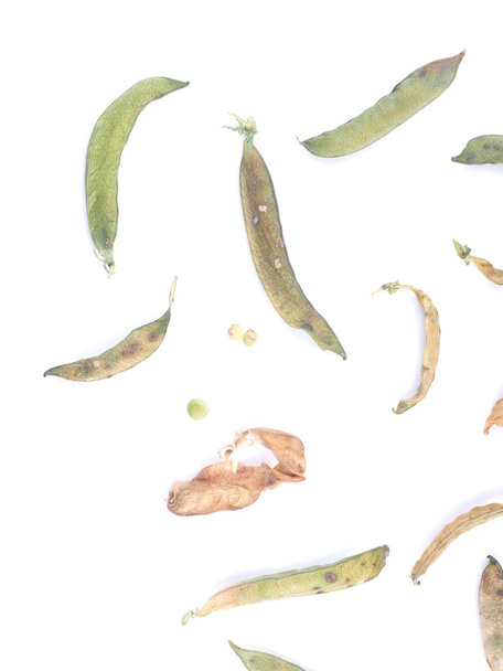 dry peas on a white background - Foto, afbeelding