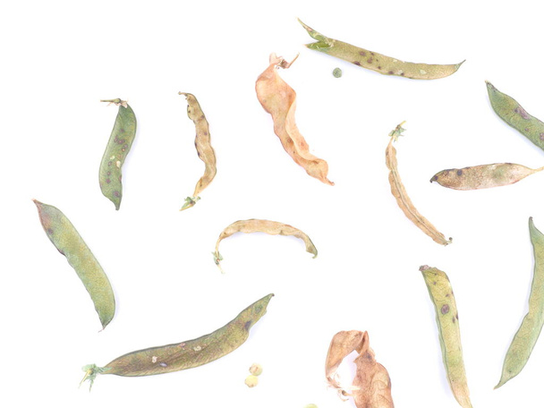 dry peas on a white background - Valokuva, kuva