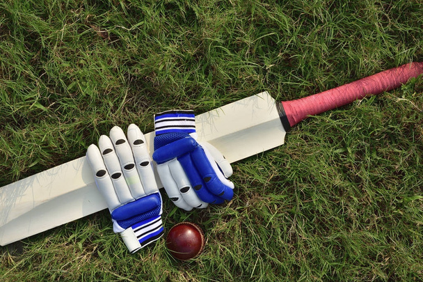 Kriketové rukavice a bat - Fotografie, Obrázek