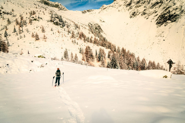 dívka, turistiku na sněžnicích v lese - Fotografie, Obrázek