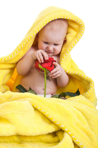 baby holding a red rose - Фото, зображення