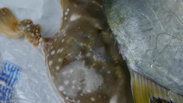Lahodný Croaker Pomfret ryby & krab, v rámci číselníku plate.fisheries led zmrazený. - Záběry, video