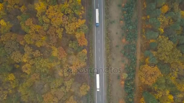 Luchtfoto van een vrachtwagen en ander verkeer rijden langs de weg omringd door herfst bos - Video
