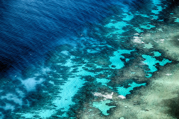 in  australia natuarl park the great reef from the high concept of paradise - Foto, Imagen