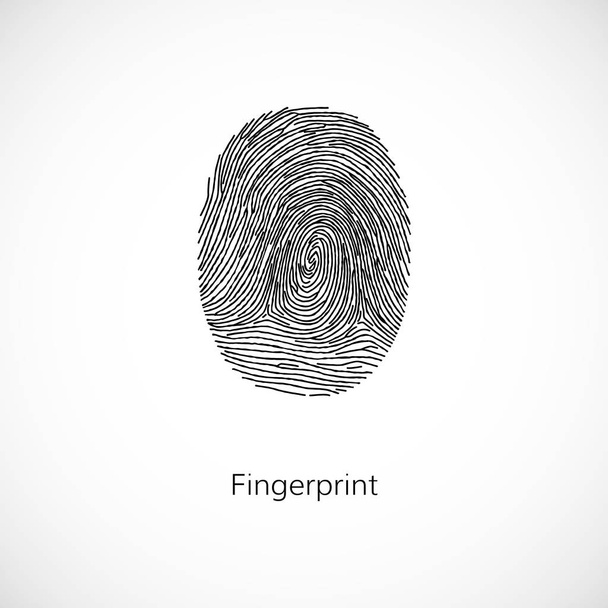 Fingerprint. Vector illustration isolated on white background - Vector, Image