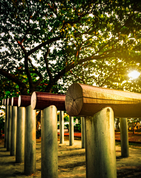 Exercise equipment with different level concrete pole for body balance train in the park near giant Raintree with flare light. - Photo, Image
