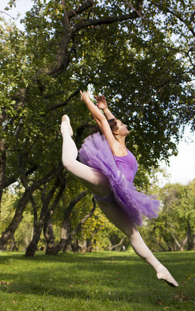Bailarina elegante posando
 - Foto, Imagem