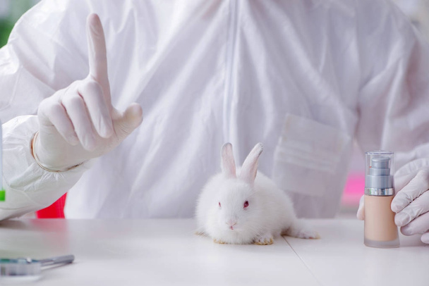 Scientifique faisant des expériences sur des animaux en laboratoire avec des lapins - Photo, image
