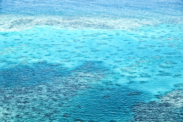 in Australia parco natuarl la grande barriera corallina dall'alto concetto di paradiso
 - Foto, immagini