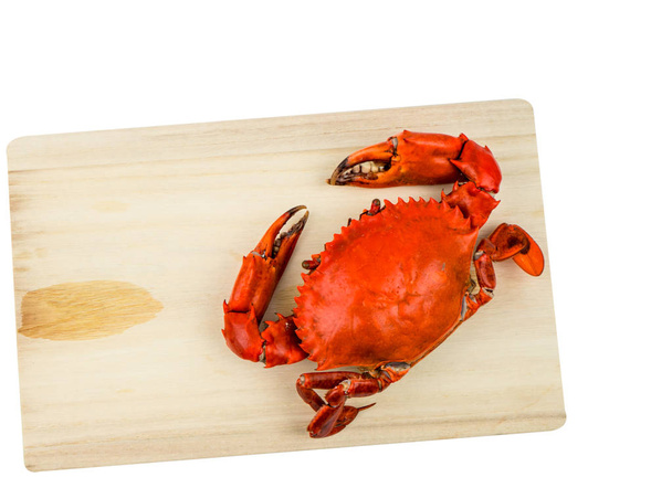 Top view of Scylla serrata. One steamed crab on wood cutting board isolated on white background with copy space. Seafood restaurants concept. - Photo, Image