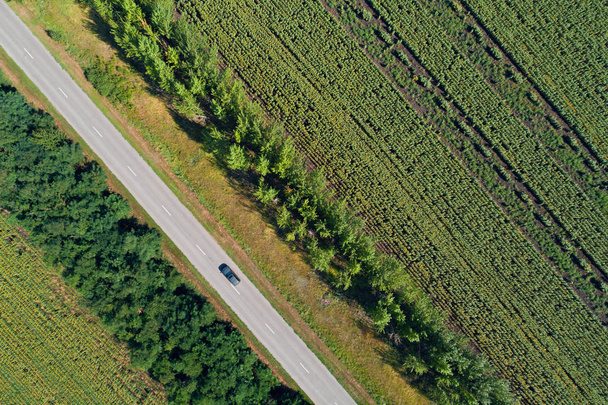 Vista aérea de uma estrada que passa por campos verdes
  - Foto, Imagem
