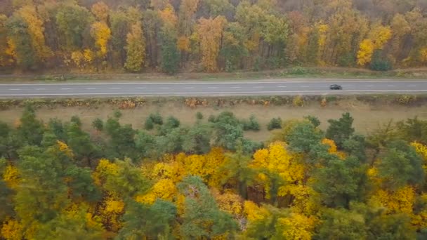 Luchtfoto van het verkeer op de weg omringd door herfst bos - Video