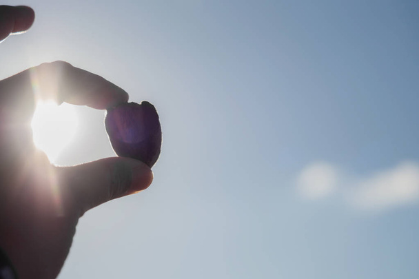 Mano sosteniendo una nuez en el cielo con luz solar
 - Foto, imagen