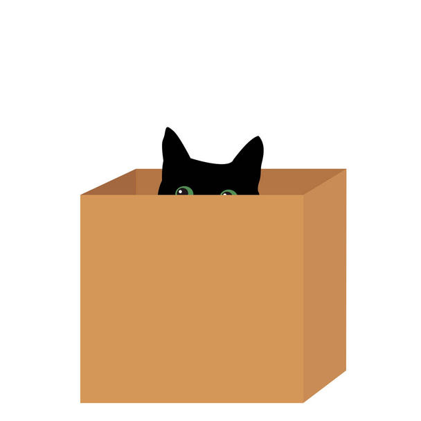 ボックス内の黒猫 - ベクター画像