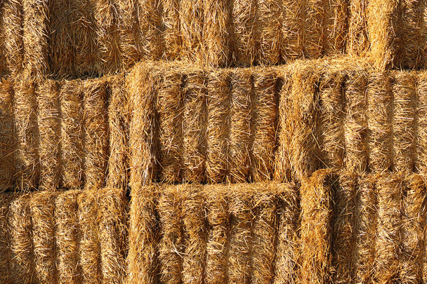detail on heap of haystacks, textural image  - Photo, Image