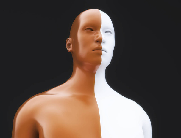 3D рендеринг. Человеческое тело разделено на два цвета
 - Фото, изображение