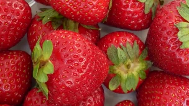 fraises fraîches sur fond blanc - Séquence, vidéo