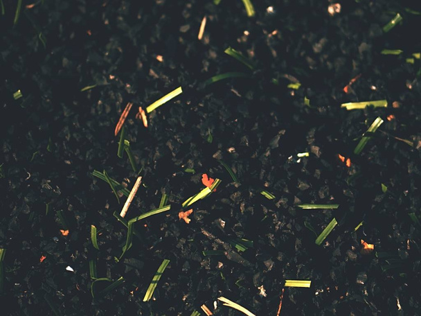 Gomma grezza di Winter Soccer Turf. Primo piano vista del campo in erba artificiale sul parco giochi di calcio
. - Foto, immagini