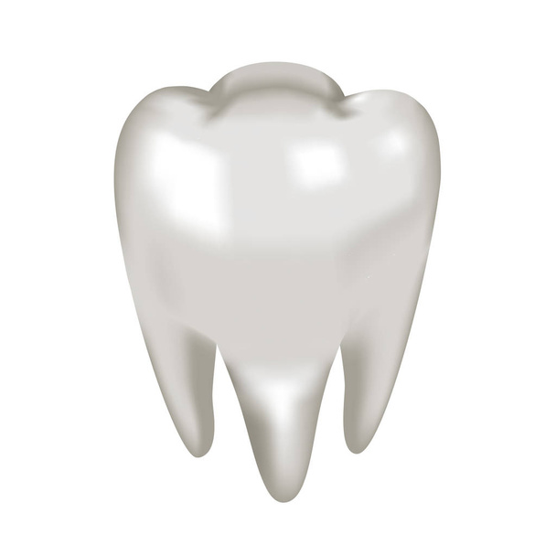 Objet molaire dent blanche
 - Vecteur, image