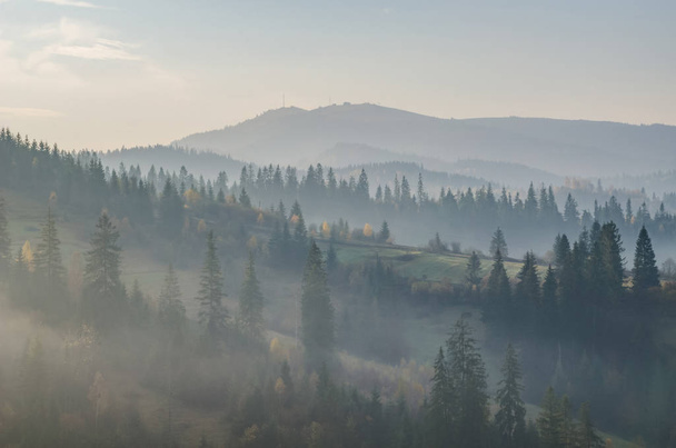 Φθινοπωρινή σεζόν με την ομίχλη στα Ουκρανικά Καρπάθια Όρη - Φωτογραφία, εικόνα