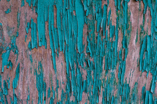 textura pelar pintura verde en un tablero de madera en todo el marco
 - Foto, imagen
