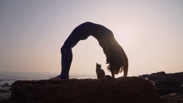 Mujer joven en body practicando yoga con gato en la playa sobre el mar al amanecer increíble. Fitness, deporte, yoga y estilo de vida saludable. Chica haciendo un puente
, - Metraje, vídeo