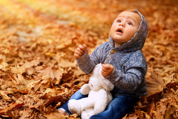Little boy in autumn forest - Photo, Image
