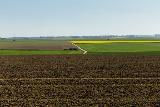 Felder an einem sonnigen Frühlingstag in der Normandie, Frankreich. Landschaft - Foto, Bild