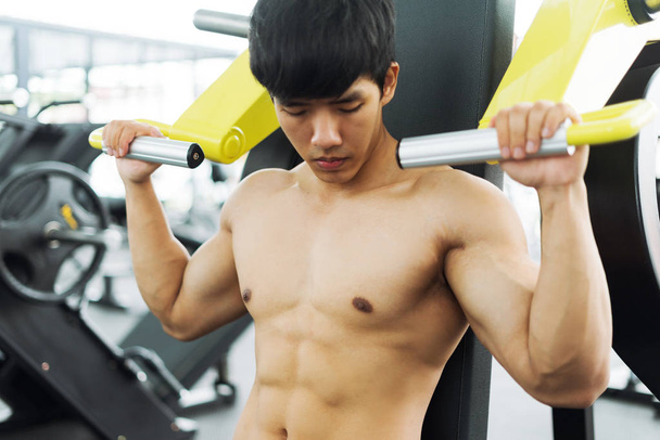 Fitness man in training showing exercises with exercise-machine in gym, fitness concept, sport concept - 写真・画像