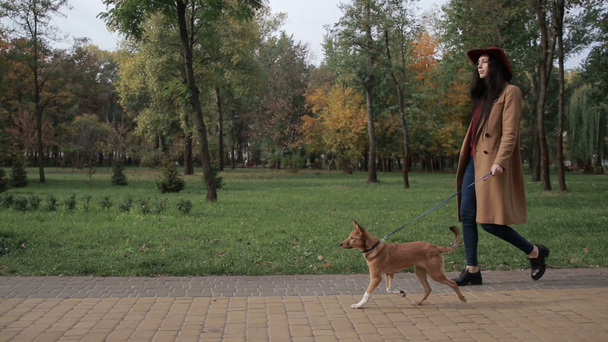 Žena při procházce se psem na podzim park - Záběry, video