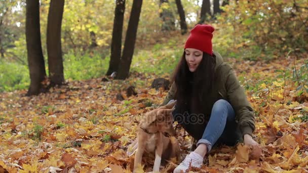 Γυναίκα hipster και σκύλος παίζει με τα πεσμένα φύλλα - Πλάνα, βίντεο