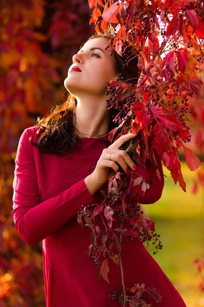 Femme dans le parc d'automne - Photo, image