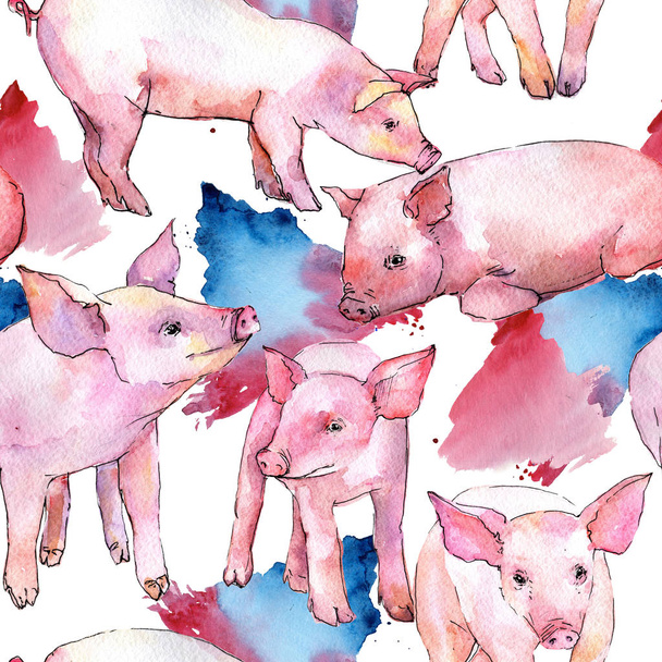 Свинья диких животных рисунок в стиле акварели
. - Фото, изображение