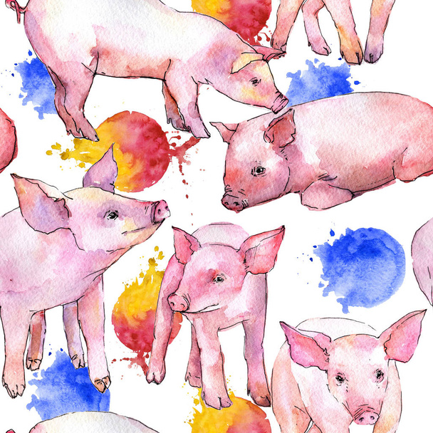 Свинья диких животных рисунок в стиле акварели
. - Фото, изображение