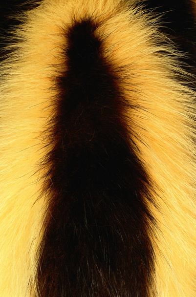 állati farok szőr textúra - Fotó, kép