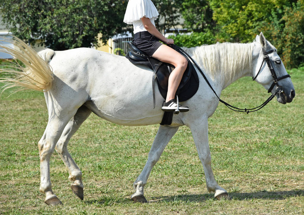 Jeune fille hoseback équitation sur le pré
 - Photo, image