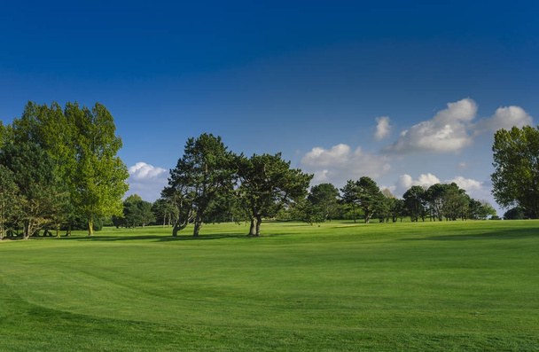 Общий вид зеленого поля для гольфа в яркий солнечный день. Идиллический летний пейзаж. Спорт, отдых, отдых и досуг
 - Фото, изображение