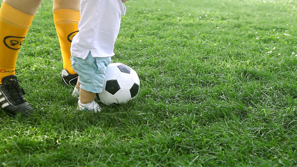 Soccer ball on the field - Video, Çekim