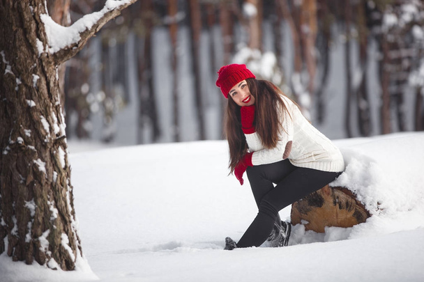 Portrait of a beautiful woman on a winter background.   - Фото, изображение