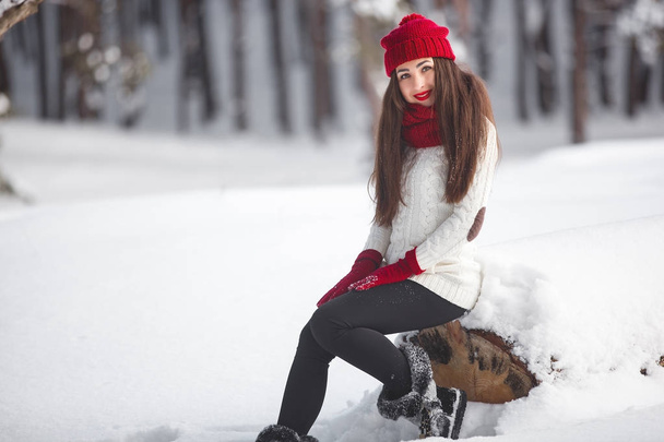 Portrait of a beautiful woman on a winter background.   - Foto, Imagem