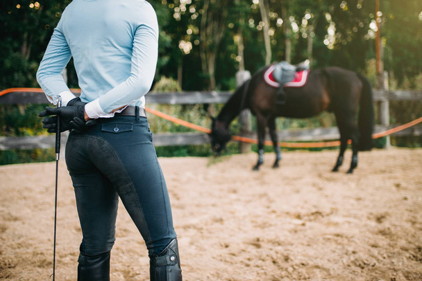 cavallo da allenamento femminile fantino
 - Foto, immagini