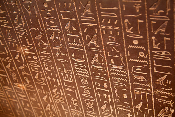 壁にエジプトの象形文字 - 写真・画像