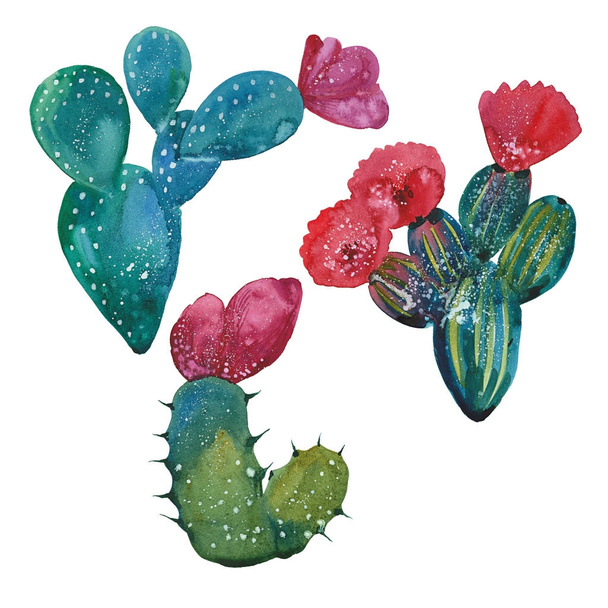 watercolor cactus set - Фото, изображение