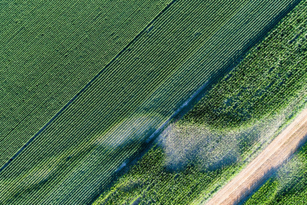 Luchtfoto van agrarische velden met problematische onderdelen - Foto, afbeelding